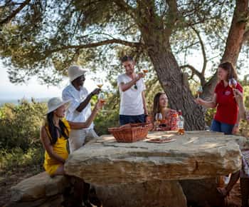 Nizzából: Nizza: Provence Bor egész napos túra