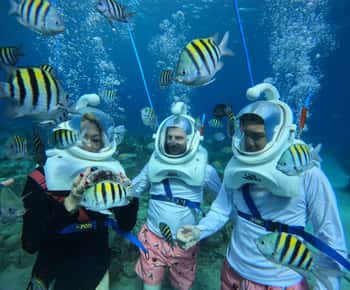 Willemstad: Wandelen onder water met gids