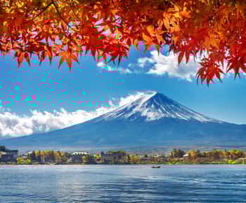 Van Tokio naar de berg Fuji en Hakone: privétour van een dag