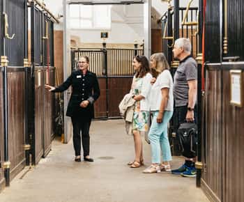 Vienna Spanish Riding School Guided Tour