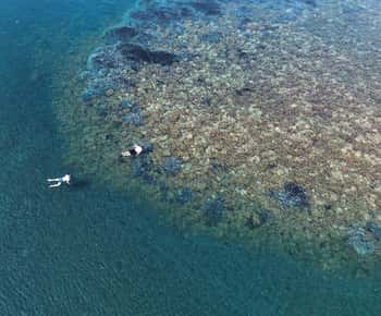 Snorkel guiado por la bióloga marina Isla de Vulcano, Islas Eolias