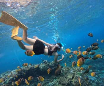 Van Bali: Tour van 3 snorkelplekken naar Lembongan en Penida