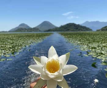 Virpazar: Tour in barca del Parco Nazionale del Lago di Skadar