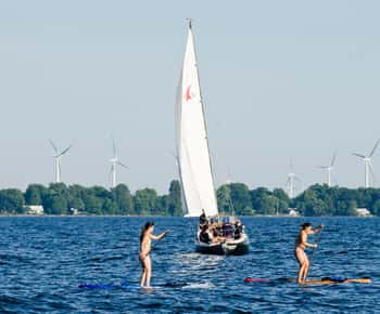 Kingston: Zeilcharter met schipper