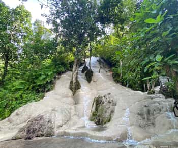Chiang Mai Tour de medio día: Cascada Pegajosa y Traslado al Hotel