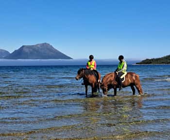Tromsø: Esperienza estiva di equitazione con i cavalli di Lyngen