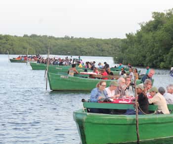 Caroni: Bird Sanctuary Wildlife Swamp Tour