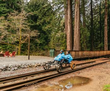 Mendocino County: Pudding Creek Railbikes