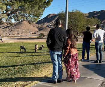 Boulder City: Visita guiada ao Hemenway Park