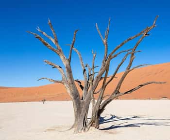 From Windhoek: 3-Day Sossusvlei Shared Shuttle Tour