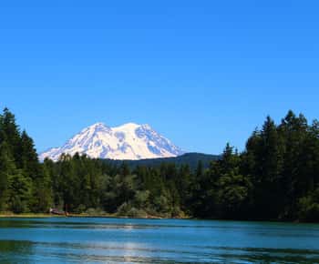Hiking in Mount Rainier Private Tour from Seattle