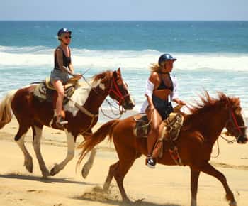 Cabo San Lucas: Paardrijden in Migriño met transfers