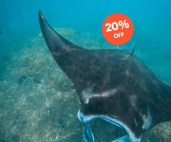 Nusa Penida: Snorkeling 3 Spots with GoPro & West Land Tour