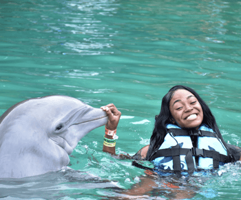 Montego Bay: Dolphin Cove Ocho Rios Day Trip with Transfers