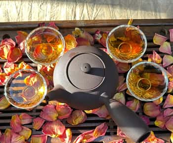 Premium Tea Tasting Journey