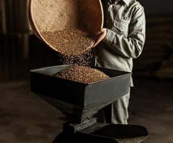Vietnam: Whisky Distillery Guided Tour with Tasting