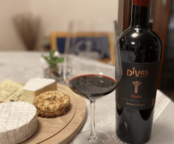 Private Tour: Wine Tasting Tour, Mud Baths, History & more