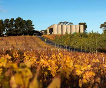 Hobart: Moorilla's Wein + Kunst im Mona by Boat