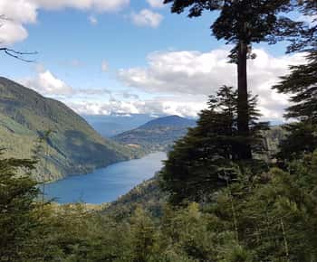 From Pucón: Huerquehue National Park Hiking Tour