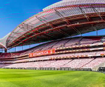 Luz Stadium Tour & SL Benfica Museum Ticket w/Scarf: Luz Stadium Tour & SL Benfica Museum Ticket w/Scarf