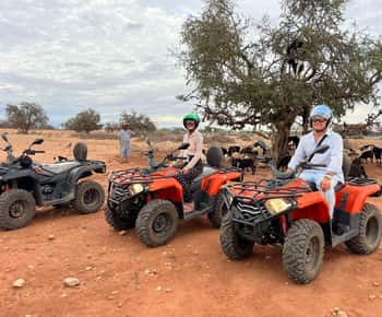 Agadir : Quad et chèvres sur les arganiers avec thé