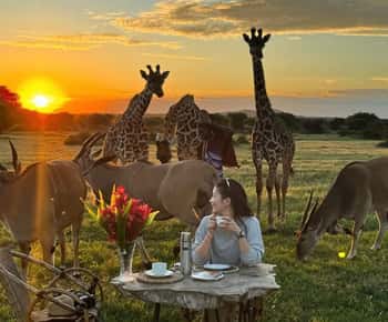 SERVAL WILDLIFE DAY - TOUR FROM ARUSHA, MOSHI OR ZANZIBAR.
