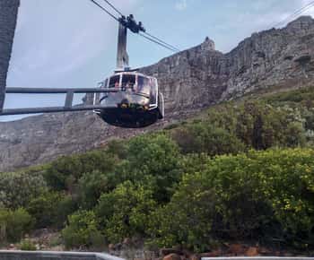 Cidade do Cabo: Excursão particular à Montanha da Mesa e à Península do Cabo