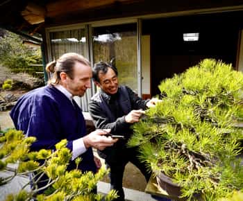 Hiroshima: Bonsai - A Gentle Journey into Nature’s Art