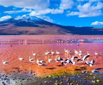 Excursão Clássica ao Salar de Uyuni 2 Noites e 3 Dias