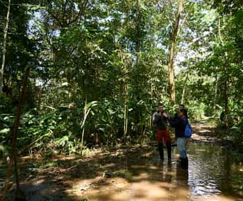 Iquitos: Amazone-avontuur en expeditie 3-daagse tour