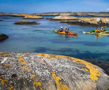 Suecia Occidental: Excursión de hoy en kayak de mar