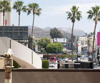 From Anaheim: LA Highlights Sightseeing Tour