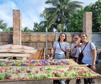 Mekong Delta 2 Days 1 Night - Shared Tour