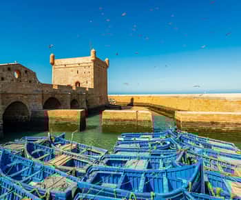 Day Trip To Essaouira From Marrakech With Guide
