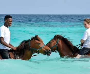 Randonnée à cheval à Zanzibar