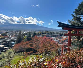 From Tokyo Mount Fuji and Hakone Tour Enjoy Cruise at Lake