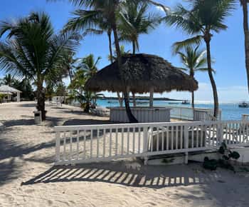 La Romana: Saona Island Speedboat Cruise with Lunch