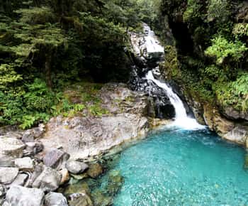 Neuseeland: 9-tägige private Tour mit 14–16 Aktivitäten