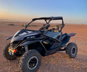 Buggy Marrakech Desert și Palmerie