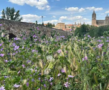 Madrid: Tour of the medieval jewels of Avila and Salamanca