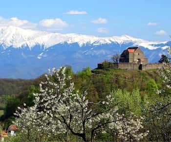 De Sibiu: Linha Azul e City Tour Sighisoara - UNESCO
