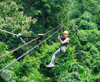 Fra Koh Samui: Tree Bridge Zipline og kaféopplevelse