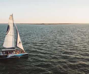 Saint-Martin-de-Ré : Sunset Catamaran Cruise (2h00)