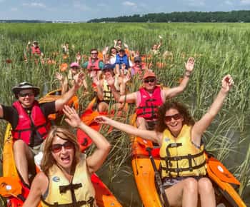 Hilton Head: Excursión guiada en kayak por la naturaleza con avistamiento de fauna salvaje