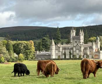 Aberdeenista: Balmoral Estate & Royal Deesiden kierros