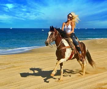 Agadir/Taghazout : Quad e passeggiate a cavallo sulla spiaggia