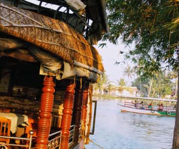 Excursão de 7 dias a Kerala com Munnar, Thekkady, Alleppey e Kovalam