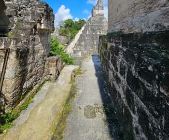 Tikal Group Tour Transportation, Guide plus Lunch