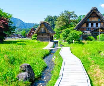 名古屋発：郡上・飛騨高山・白川郷 日帰りツアー