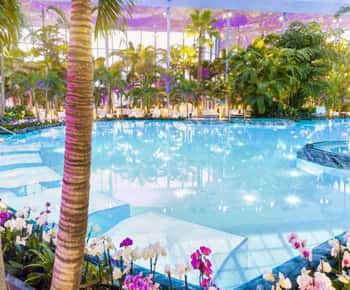 Bucuresti: Bucuresti Therme Transfer and Full-Day Access